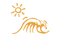 B.Bill - restaurant BASTIA